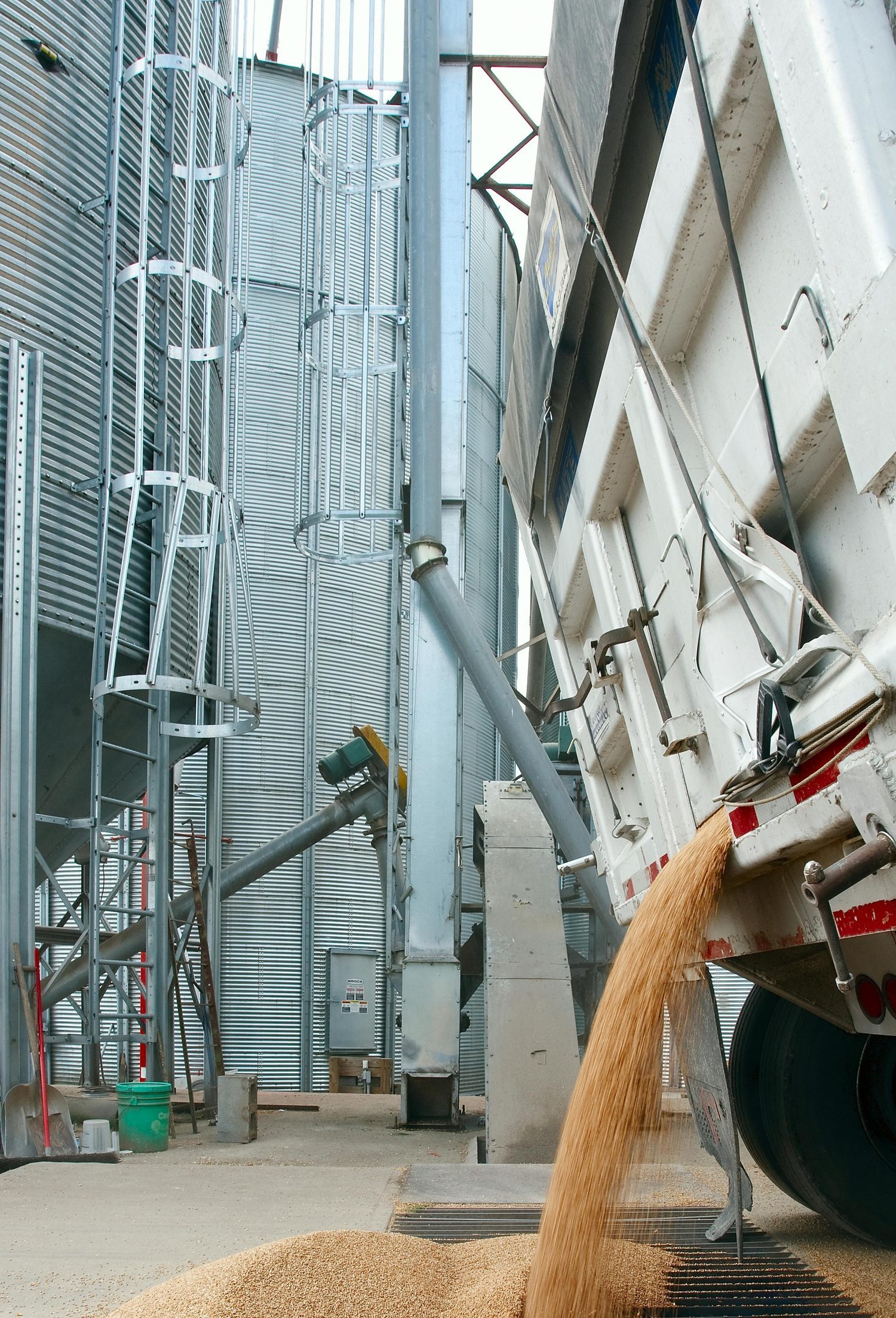 Truck unloading wheat at industrial grain facility. Vertical shot emphasizing storage silos.